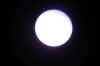 Eclipsi Sol 19.jpg (9432 bytes)